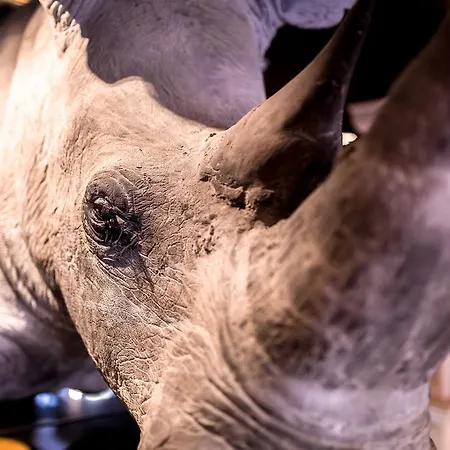 Hotell Maison Albar- Le Champs-elysees