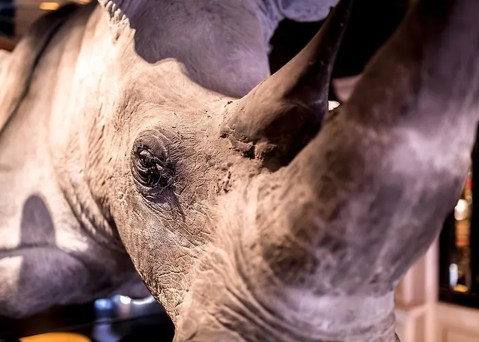 酒店 Maison Albar- Le Champs-elysees